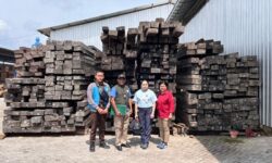 Dua Tersangka Jaringan Kayu Eboni Ilegal Maluku-Surabaya Diserahkan ke Jaksa