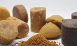 Pemerintah RI, LPEI, dan Diaspora Perkuat Ekspor Produk UKM Indonesia ke Kanada