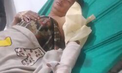 Buaya Sungai Mansapa Nunukan Kembali Serang Petani Rumput Laut