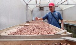 Industri Agro Konsisten Menopang Industri Pengolahan Nonmigas