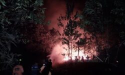 BPBD Nunukan Padamkan Kebakaran Lahan Seluas 9,5 Hektare