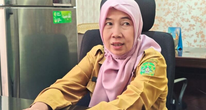 Status Kesejahteraan Masyarakat dalam Sistem DTSEN Tidak Bersifat Tetap