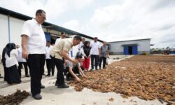 Maros Ekspor Rumput Laut Senilai Rp1,7 Miliar