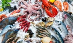 Indonesia Siap Unjuk Mutu dan Keberlanjutan di Seafood Expo North America 2026