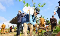 Pulihkan Hutan dari Aktivitas Ilegal, Otorita IKN Tanam 100 Pohon di Tahura Soeharto