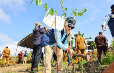 Pulihkan Hutan dari Aktivitas Ilegal, Otorita IKN Tanam 100 Pohon di Tahura Soeharto