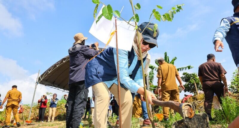 Pulihkan Hutan dari Aktivitas Ilegal, Otorita IKN Tanam 100 Pohon di Tahura Soeharto