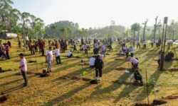Penanaman Pohon di IKN Sudah Jadi Gaya Hidup