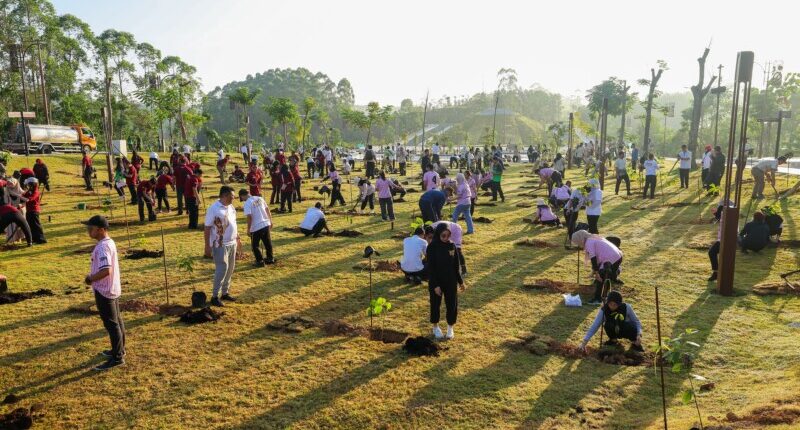Penanaman Pohon di IKN Sudah Jadi Gaya Hidup
