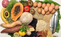 Makanan untuk Program Diet