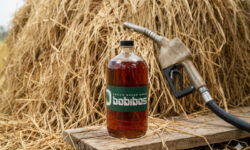 BBM Alternatif, Ditjen Migas Arahkan Uji Teknis Klasifikasi Bobibos