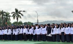 Enggan ke Pelosok, Bupati Persilakan 20 P3K Mundur