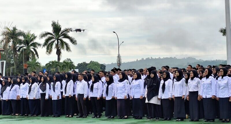 Enggan ke Pelosok, Bupati Persilakan 20 P3K Mundur