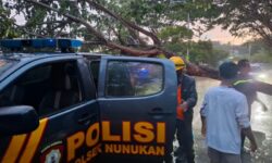 Pedagang Sayur di Nunukan Tewas karena Menabrak Pohon Tumbang