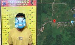 Petani Asal NTT Jualan Sabu Dalam Kebun Sawit di Muara Muntai