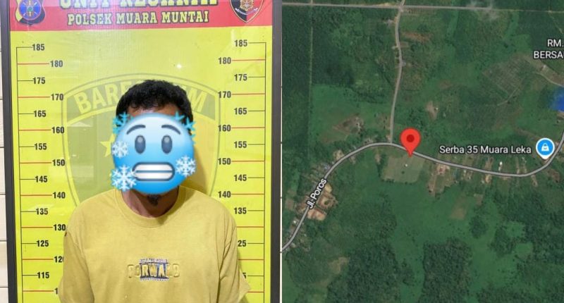 Petani Asal NTT Jualan Sabu Dalam Kebun Sawit di Muara Muntai